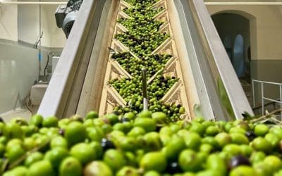 I frantoi della Valle del Menotre